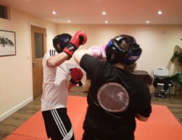 Elbow sparring (2)